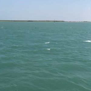 Swim bottoms reserved for @shoeshoe1